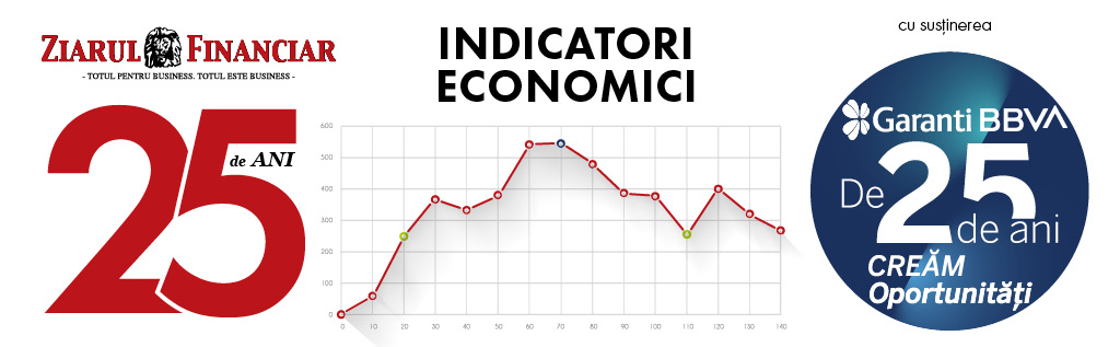 ZF 25 de ani: Indicatori economici